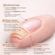 Tout savoir sur la matrice de l’ongle — définition, soins et traitements